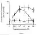 Fig. 02 - Cardiac muscle function and manipulation