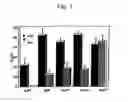 Fig. 02 - Cytotoxic factors for modulating cell death