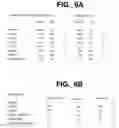 Fig. 13 - METHODS AND COMPOSITIONS FOR MODULATING HGF/MET