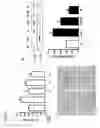 Fig. 02 - Methods for reducing CD36 expression