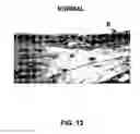 Fig. 14 - Method and peptide for regulating cellular activity