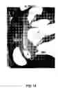 Fig. 15 - Method and peptide for regulating cellular activity