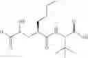 Fig. 22 - Antibacterial agents