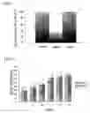 Fig. 06 - Antisense oligonucleotide having anticancerous activity