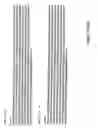 Fig. 05 - Genes encoding human deubiquitinating enzymes
