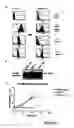 Fig. 12 - Genes encoding human deubiquitinating enzymes