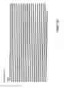 Fig. 13 - Genes encoding human deubiquitinating enzymes