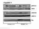 Fig. 23 - Genes encoding human deubiquitinating enzymes