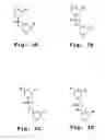 Fig. 02 - Antisense antiviral compound and method for treating picornavirus infection