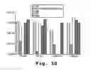 Fig. 11 - Antisense antiviral compound and method for treating picornavirus infection