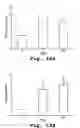 Fig. 13 - Antisense antiviral compound and method for treating picornavirus infection