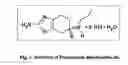 Fig. 02 - Stabilized pharmaceutical composition of pramipexole and method of preparation thereof