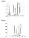 Fig. 02 - Ed-71 preparation