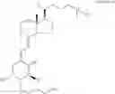 Fig. 04 - Ed-71 preparation