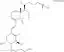 Fig. 05 - Ed-71 preparation