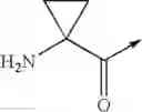 Fig. 09 - Melanocortin receptor agonists