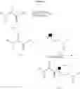 Fig. 20 - Melanocortin receptor agonists