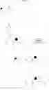 Fig. 22 - Melanocortin receptor agonists
