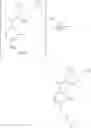 Fig. 84 - Processes for the preparation of cyclopropyl-amide derivatives