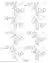 Fig. 09 - Alpha-helix mimetics and method relating to the treatment of cancer stem cells
