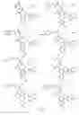 Fig. 10 - Alpha-helix mimetics and method relating to the treatment of cancer stem cells