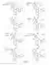 Fig. 11 - Alpha-helix mimetics and method relating to the treatment of cancer stem cells