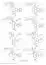 Fig. 12 - Alpha-helix mimetics and method relating to the treatment of cancer stem cells