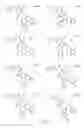 Fig. 133 - Alpha-helix mimetics and method relating to the treatment of cancer stem cells