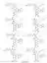 Fig. 14 - Alpha-helix mimetics and method relating to the treatment of cancer stem cells