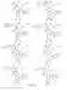 Fig. 15 - Alpha-helix mimetics and method relating to the treatment of cancer stem cells