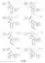 Fig. 156 - Alpha-helix mimetics and method relating to the treatment of cancer stem cells