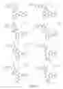 Fig. 158 - Alpha-helix mimetics and method relating to the treatment of cancer stem cells