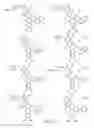 Fig. 16 - Alpha-helix mimetics and method relating to the treatment of cancer stem cells