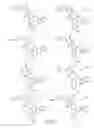 Fig. 17 - Alpha-helix mimetics and method relating to the treatment of cancer stem cells