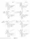 Fig. 170 - Alpha-helix mimetics and method relating to the treatment of cancer stem cells