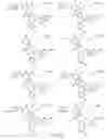 Fig. 172 - Alpha-helix mimetics and method relating to the treatment of cancer stem cells