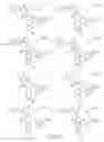 Fig. 174 - Alpha-helix mimetics and method relating to the treatment of cancer stem cells