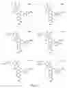 Fig. 186 - Alpha-helix mimetics and method relating to the treatment of cancer stem cells