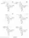 Fig. 189 - Alpha-helix mimetics and method relating to the treatment of cancer stem cells