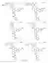 Fig. 192 - Alpha-helix mimetics and method relating to the treatment of cancer stem cells