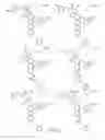 Fig. 199 - Alpha-helix mimetics and method relating to the treatment of cancer stem cells