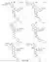 Fig. 200 - Alpha-helix mimetics and method relating to the treatment of cancer stem cells