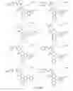 Fig. 203 - Alpha-helix mimetics and method relating to the treatment of cancer stem cells