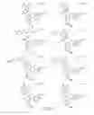 Fig. 213 - Alpha-helix mimetics and method relating to the treatment of cancer stem cells
