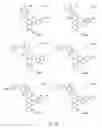 Fig. 220 - Alpha-helix mimetics and method relating to the treatment of cancer stem cells