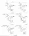 Fig. 223 - Alpha-helix mimetics and method relating to the treatment of cancer stem cells