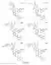Fig. 227 - Alpha-helix mimetics and method relating to the treatment of cancer stem cells