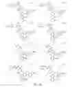 Fig. 233 - Alpha-helix mimetics and method relating to the treatment of cancer stem cells