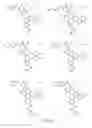 Fig. 24 - Alpha-helix mimetics and method relating to the treatment of cancer stem cells