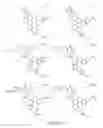 Fig. 244 - Alpha-helix mimetics and method relating to the treatment of cancer stem cells